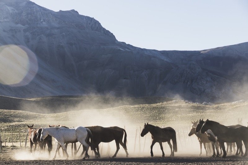 Cabalgata Los Molles